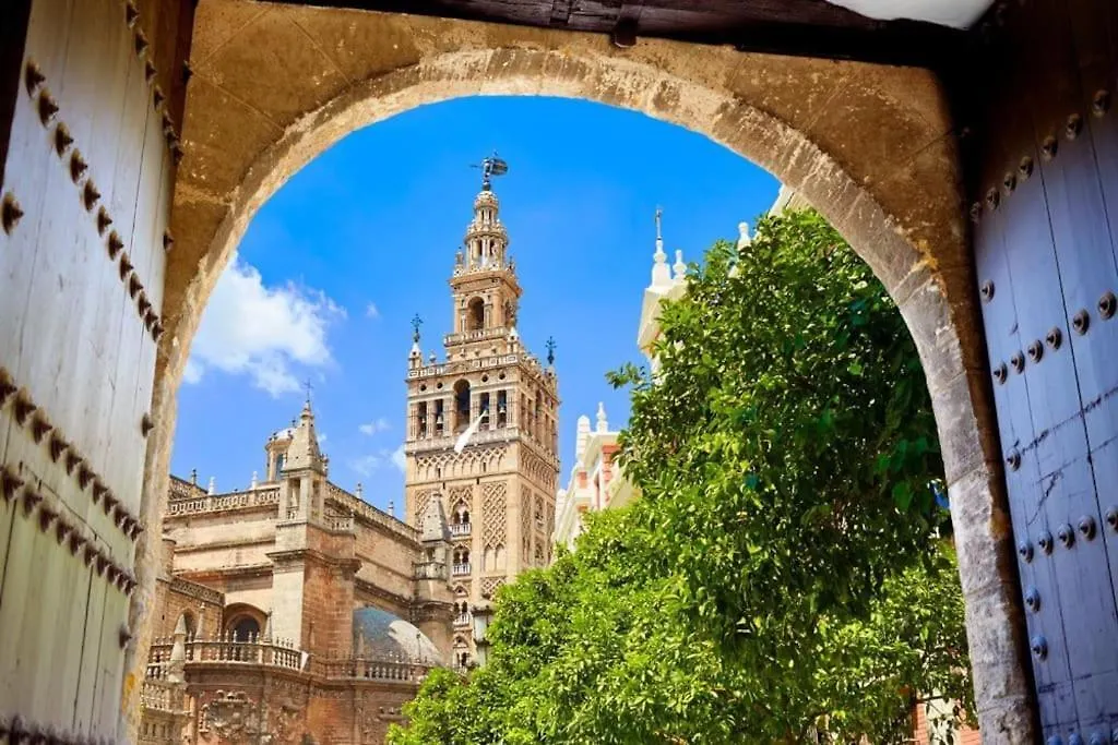 Ad3B Bright 3Br And 2Bath Apartment Downtown Sevilla  סביליה
